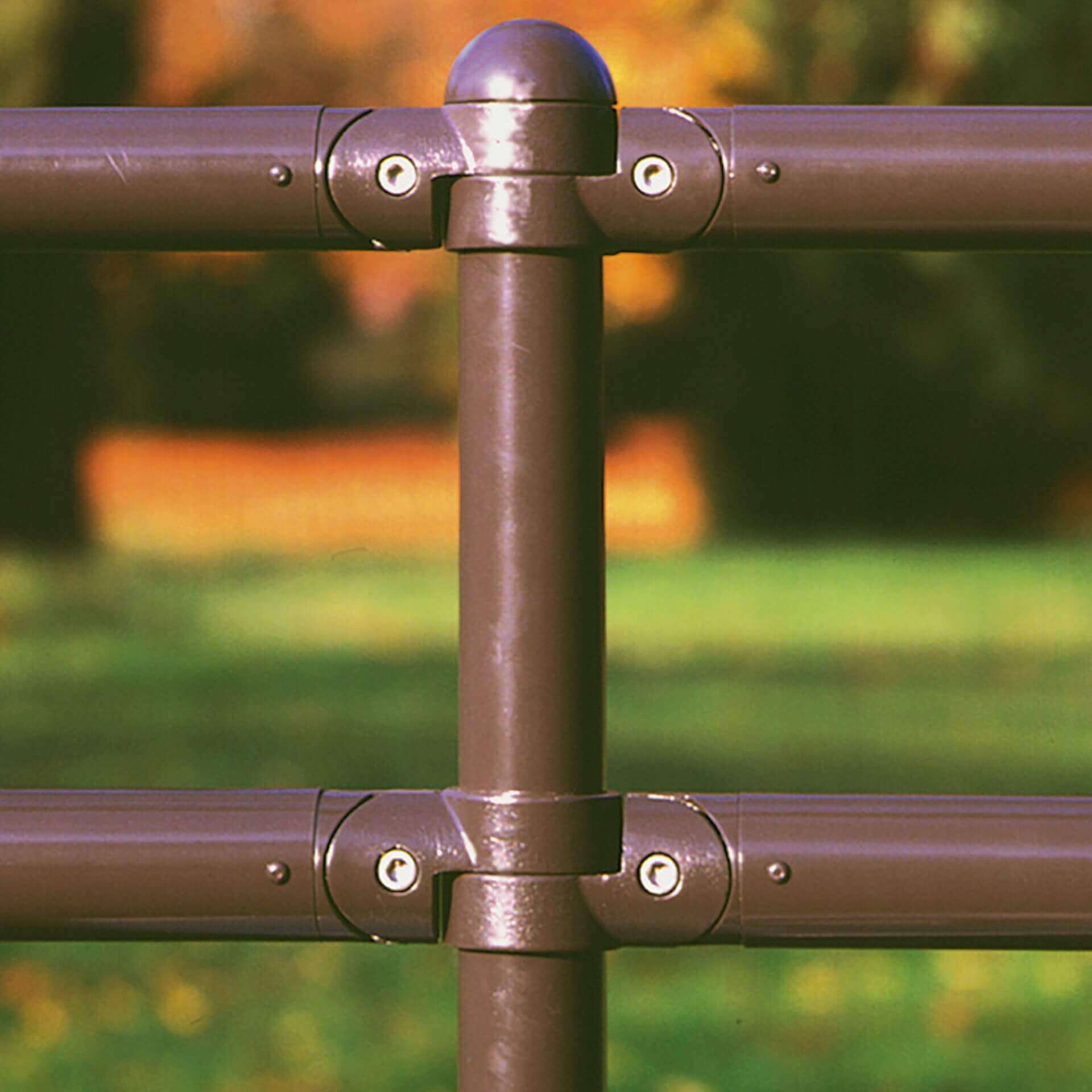 Nahaufnahme MORION Systemgeländer CLASSIQUE Metallzaun mit horizontalen und vertikalen Stäben, grünem Gras, Herbstlaub im Hintergrund.